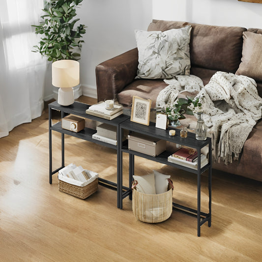 31.5" Modern 2-Tier Console Table, Narrow Sofa Table with Adjustable Feet for Entryway, Living Room, Charcoal Gray and Black