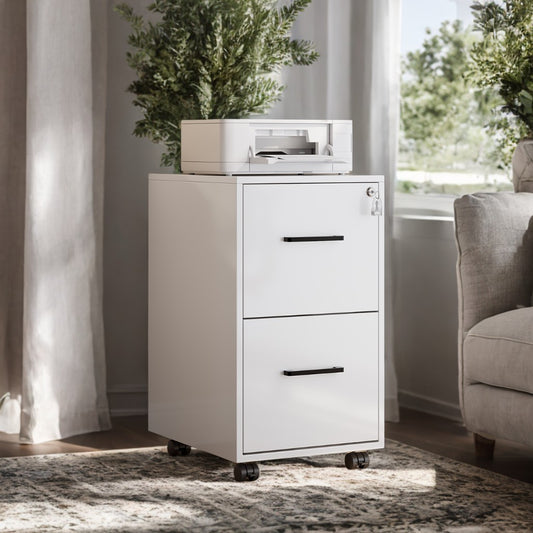 2-Drawer File Cabinet with Lock, Pre-Assembled Mobile Storage for A4, Legal, Letter Files, Steel Frame, Smooth Slides, Matte White