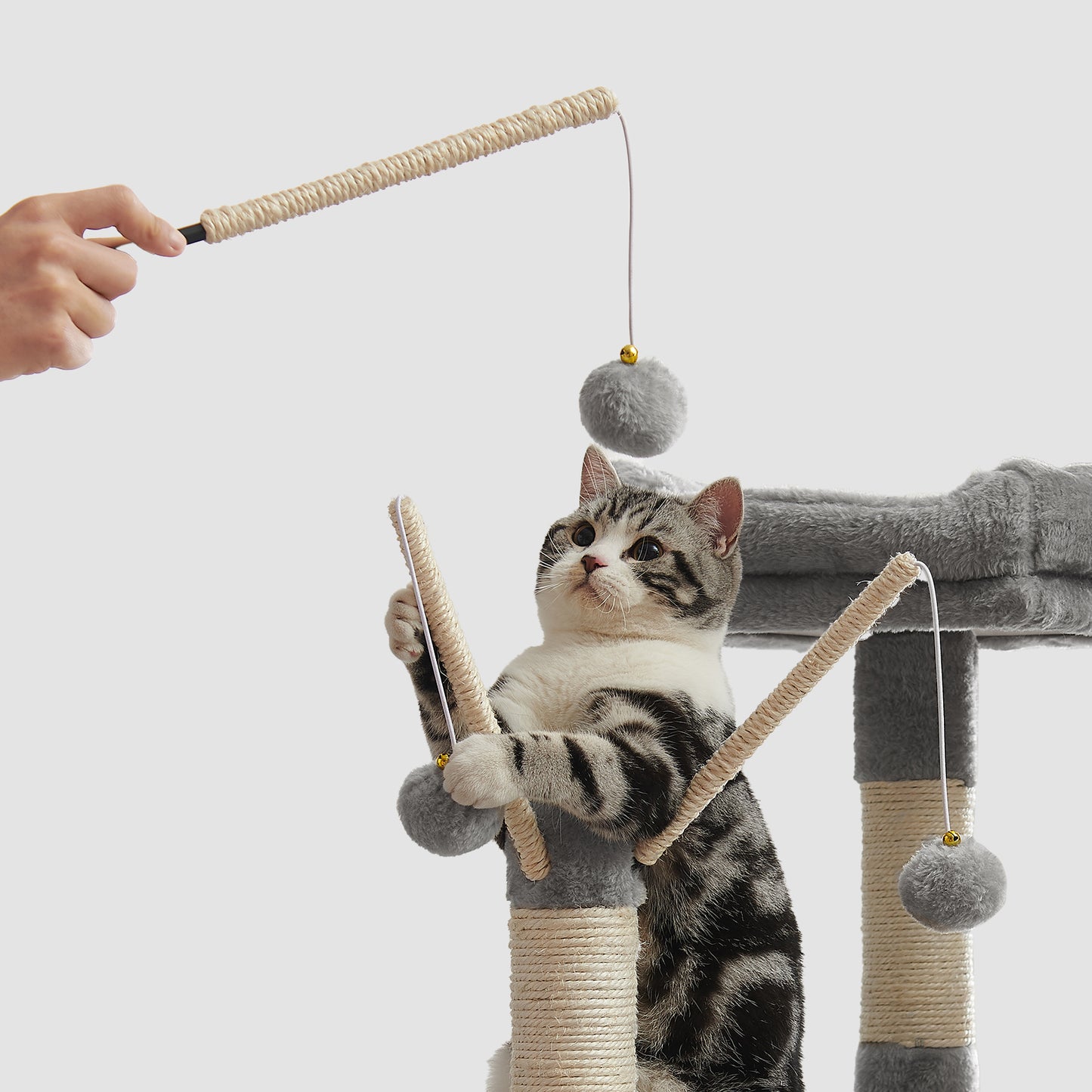 Premium Cat Tree Tower - 64.6" Multi-Level Cat Condo with Plush Hammock, Spacious Cave & 4 Pompom Toys, Light Gray