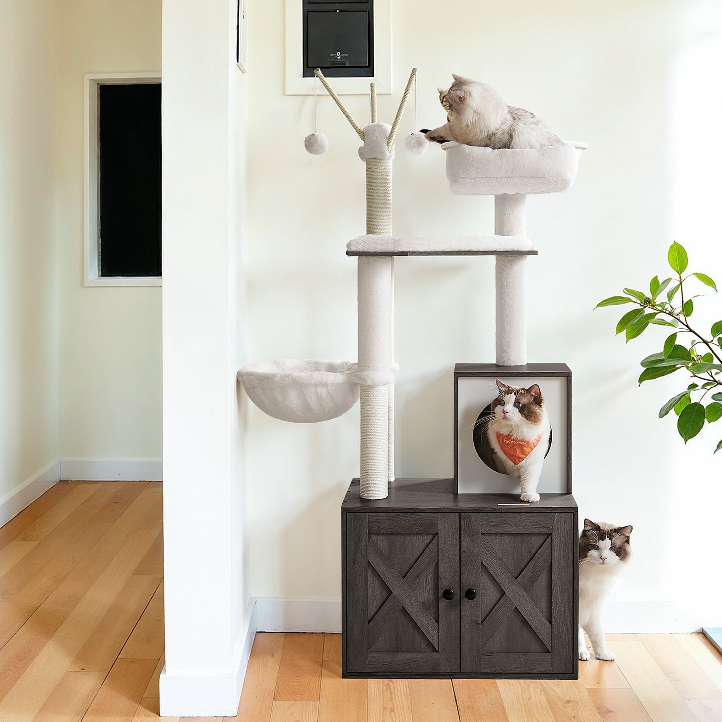 55.1" 2-in-1 Cat Tree & Litter Box Enclosure, Modern Cat Tower with Scratching Posts, Removable Toys, Space-Saving Design, Misty Gray