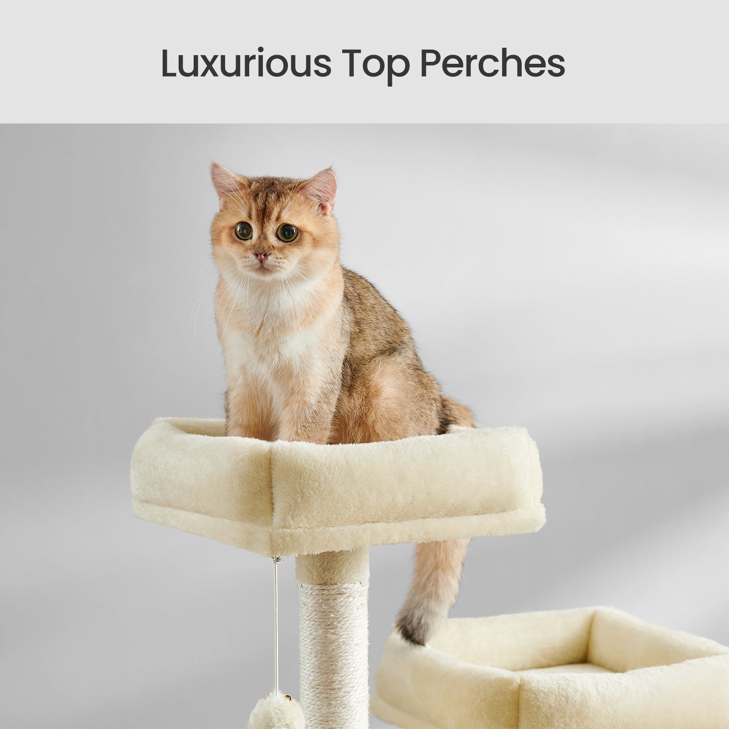 66.1" Large Cat Tree - 13 Scratching Posts, 2 Perches & 2 Caves, Multi-Level Plush Cat Condo with Hammock, Beige