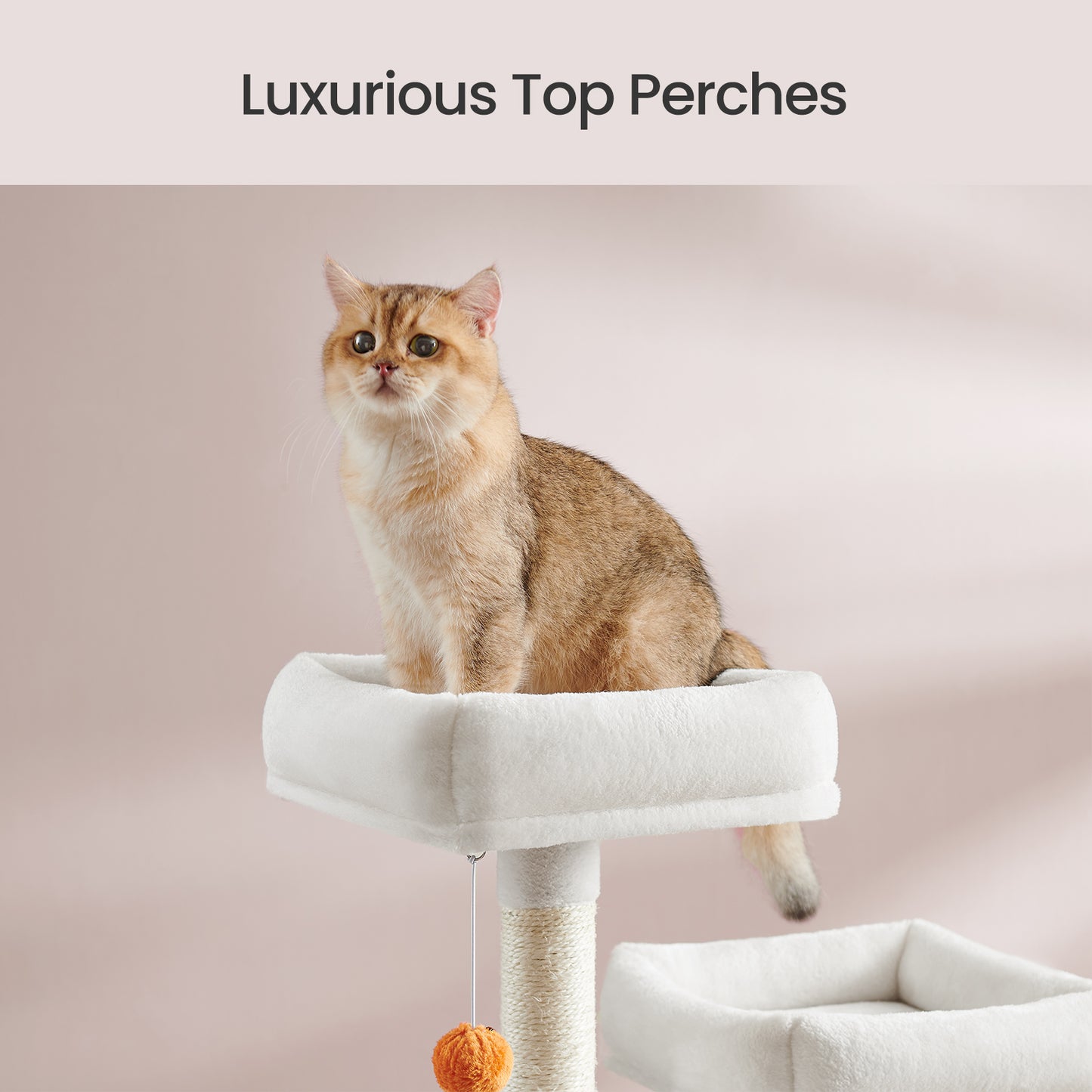 66.1-Inch Multi-Level Cat Tree Tower with 2 Perches, 2 Caves, Hammock & 13 Scratching Posts – Plush Climbing Condo for Indoor Cats, Cream White